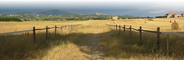 tenuta Tudini - Marino